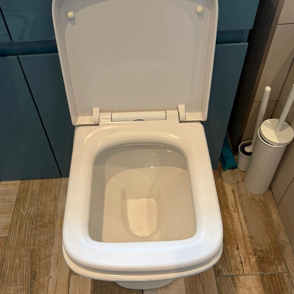 Toilet Before & After​