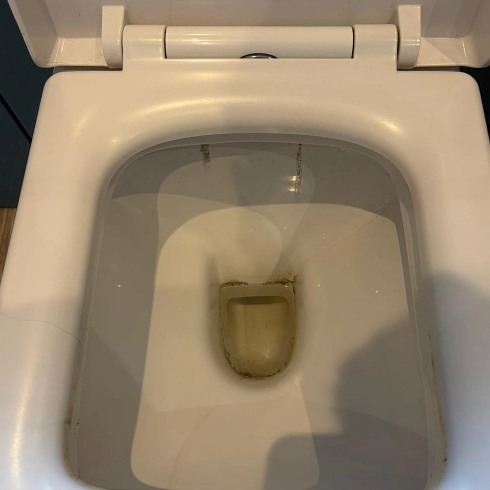 Toilet Before & After​