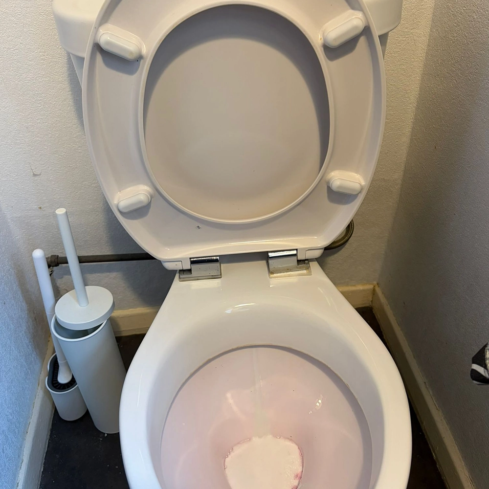 WC Before & After​