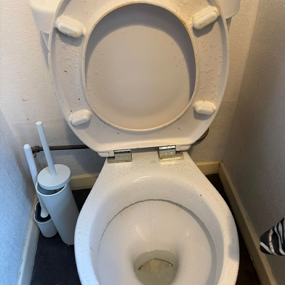 WC Before & After​